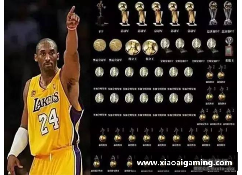 NBA世界：历史、明星与战术解析