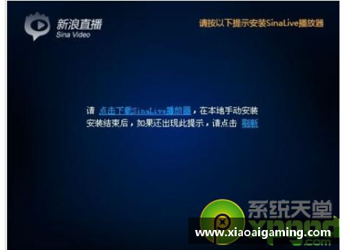 如何解决新浪NBA直播无法观看的问题：完整解决方案及常见故障排查方法