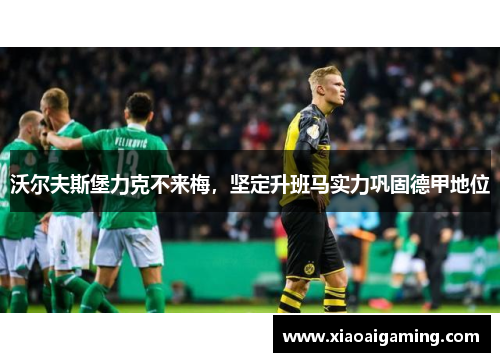 沃尔夫斯堡力克不来梅，坚定升班马实力巩固德甲地位
