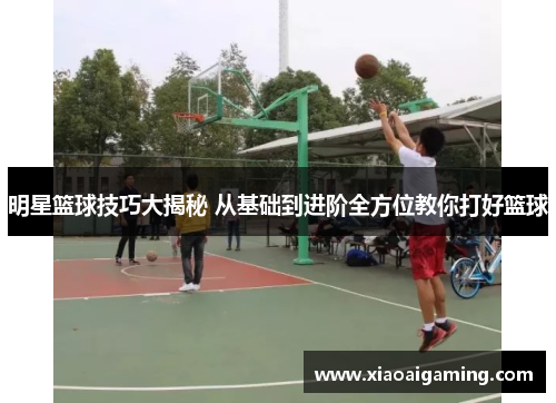 明星篮球技巧大揭秘 从基础到进阶全方位教你打好篮球