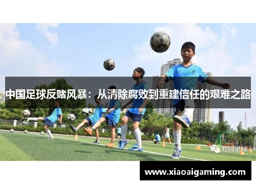 中国足球反赌风暴：从清除腐败到重建信任的艰难之路