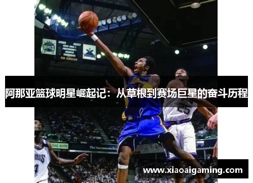 阿那亚篮球明星崛起记：从草根到赛场巨星的奋斗历程